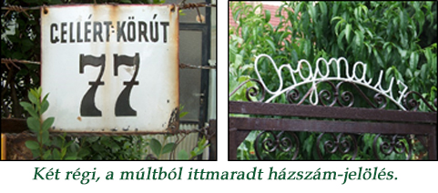 hazszamokfe